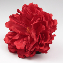 PEONIA ROJA PARIS