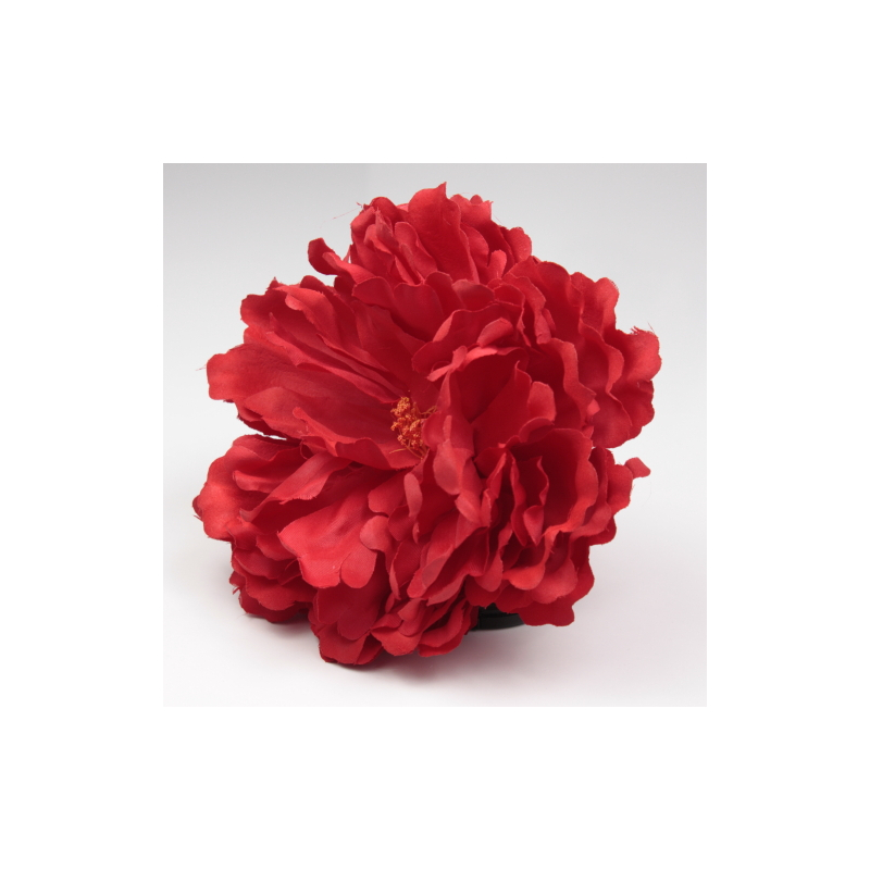 PEONIA ROJA PARIS