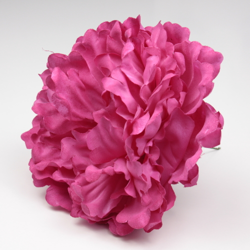 PEONIA FUCSIA PARIS
