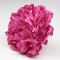 PEONIA FUCSIA PARIS