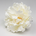 PEONIA BLANCA PARIS