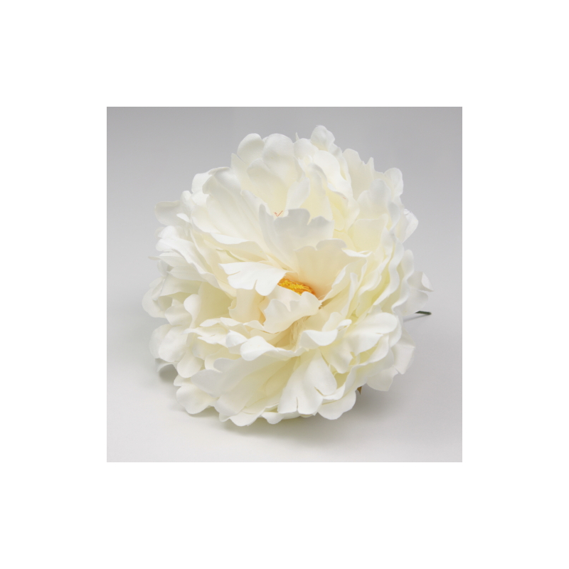 PEONIA BLANCA PARIS