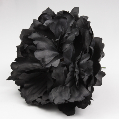 PEONIA NEGRA PARIS