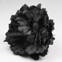 PEONIA NEGRA PARIS