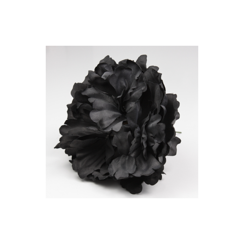 PEONIA NEGRA PARIS
