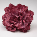 PEONIA QUISQUILLA PARIS