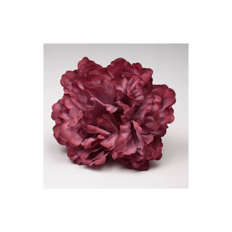 PEONIA NEGRA PARIS