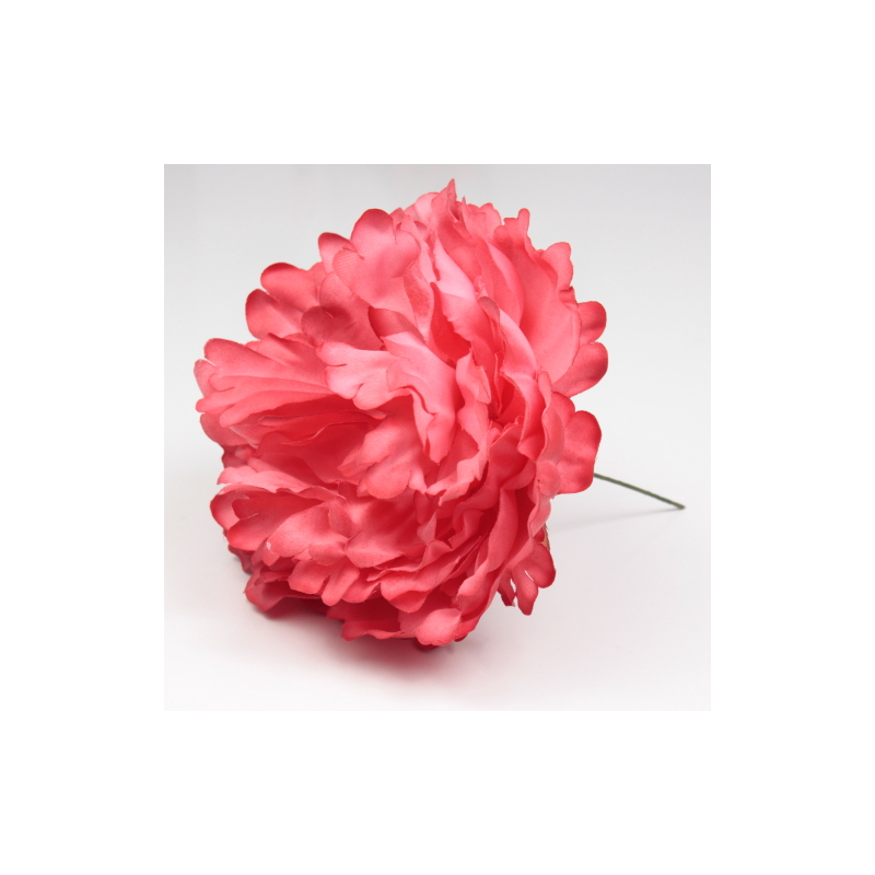 PEONIA CORAL PARIS