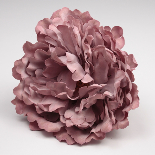 PEONIA ROSA PALO PARIS