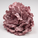 PEONIA ROSA PALO PARIS