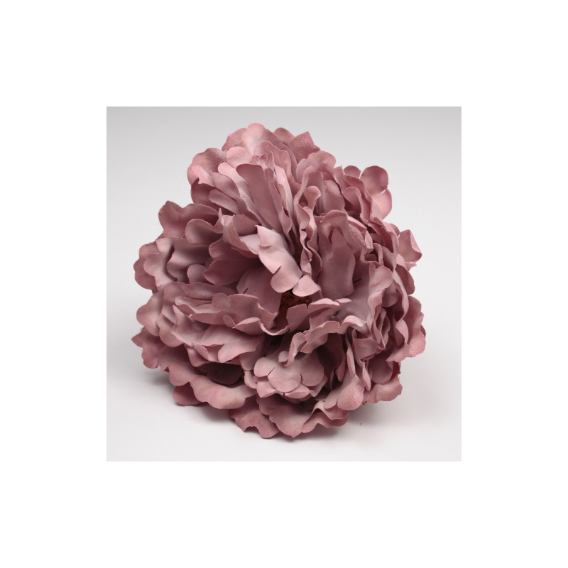 PEONIA CORAL PARIS
