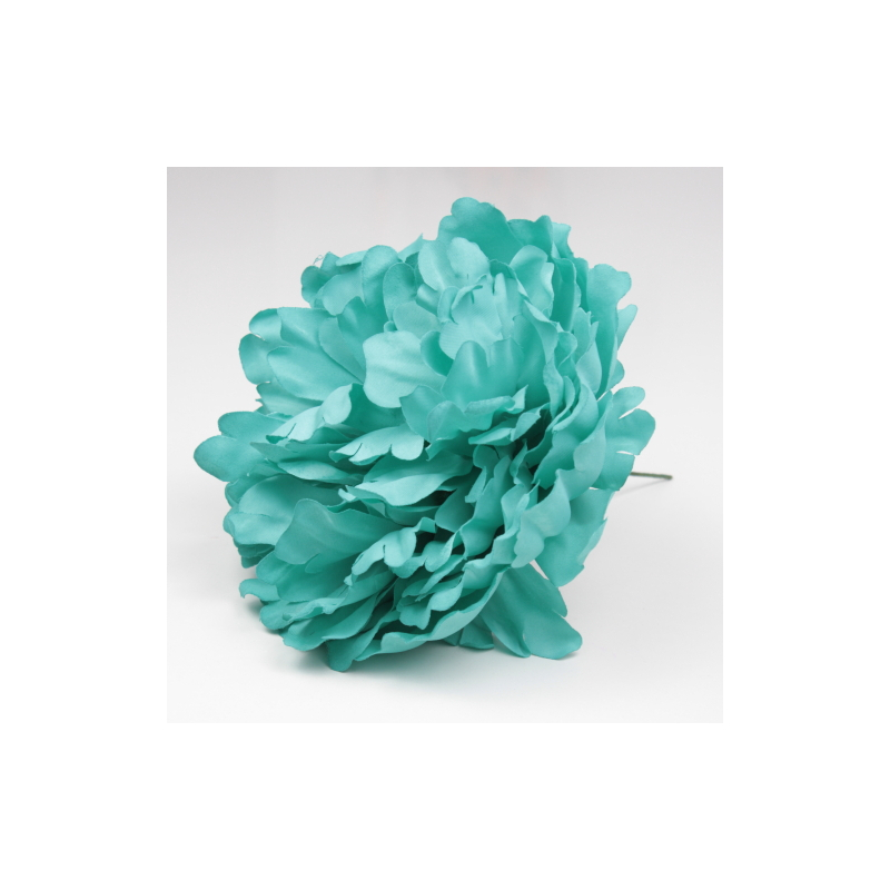 PEONIA BOTELLA PARIS