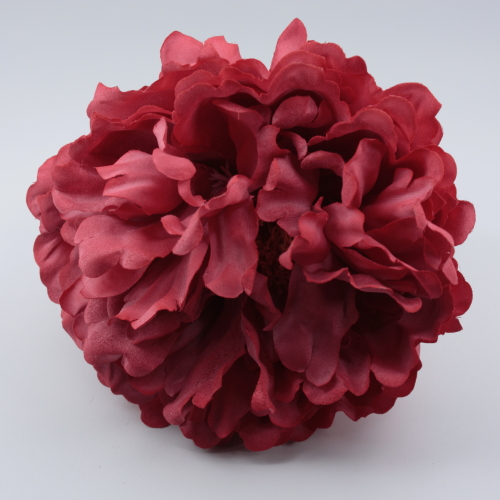 PEONIA CALDERA PARIS