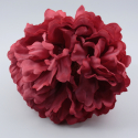 PEONIA CALDERA PARIS