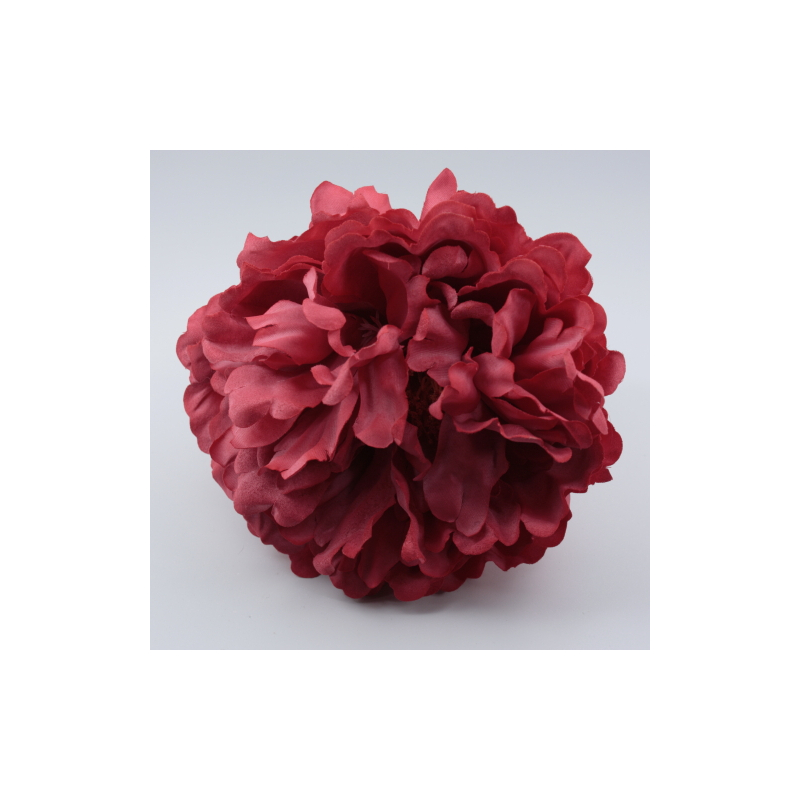 PEONIA CALDERA PARIS