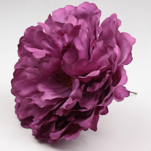 PEONIA CARDENAL PARIS