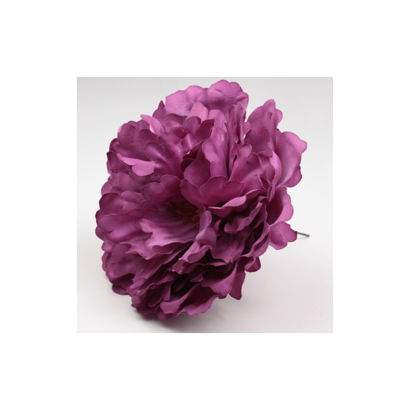 PEONIA MALVA PARIS