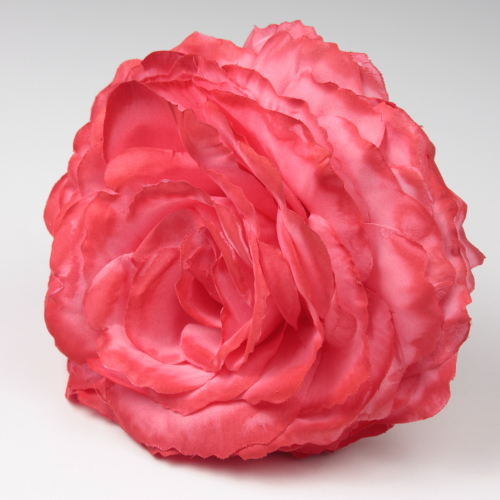 ROSA CORAL AJOLÍ