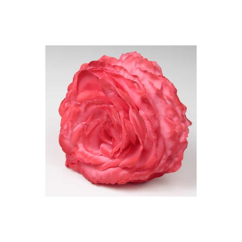 ROSA CORAL AJOLÍ