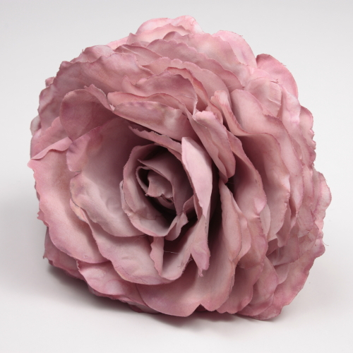 ROSA ROSA PALO AJOLÍ