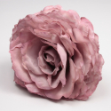 ROSA ROSA PALO AJOLÍ