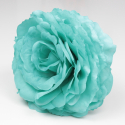 ROSA VERDE AGUA AJOLÍ