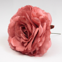 ROSA MAQUILLAJE AJOLÍ