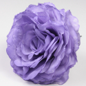ROSA PURPURA AJOLÍ