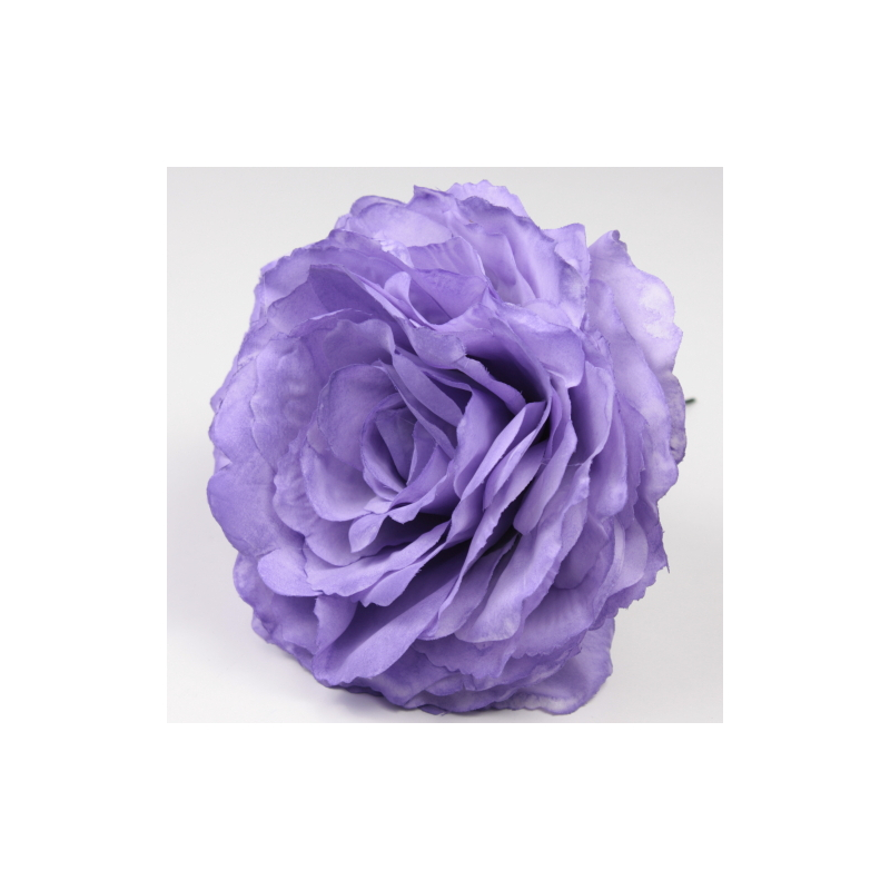 ROSA PURPURA AJOLÍ