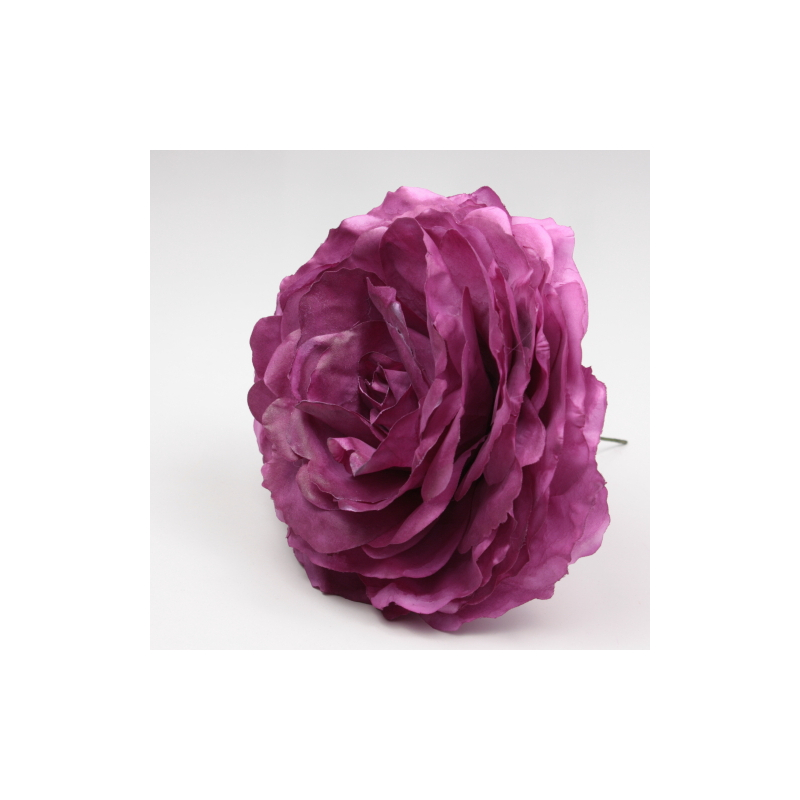ROSA BUGANVILLA AJOLÍ