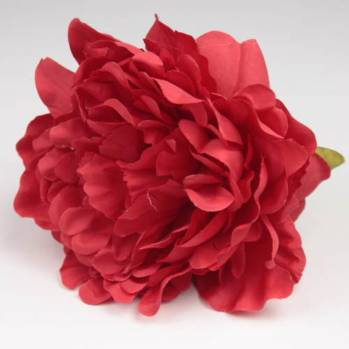PEONIA ROJA JEREZ