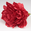 PEONIA ROJA JEREZ