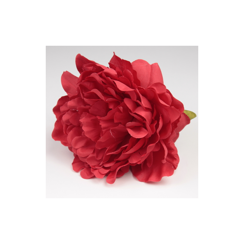PEONIA ROJA JEREZ
