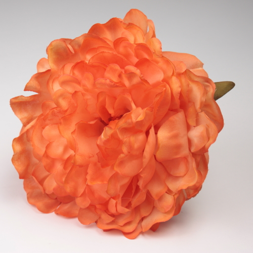 PEONIA NARANJA JEREZ