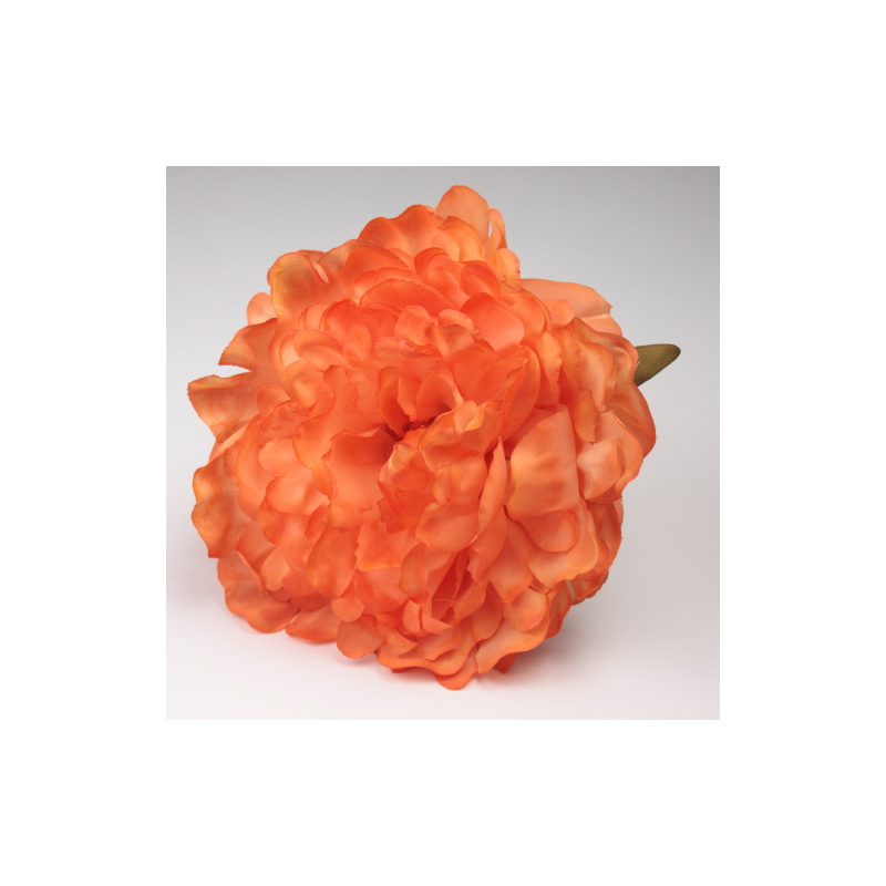 PEONIA NARANJA JEREZ