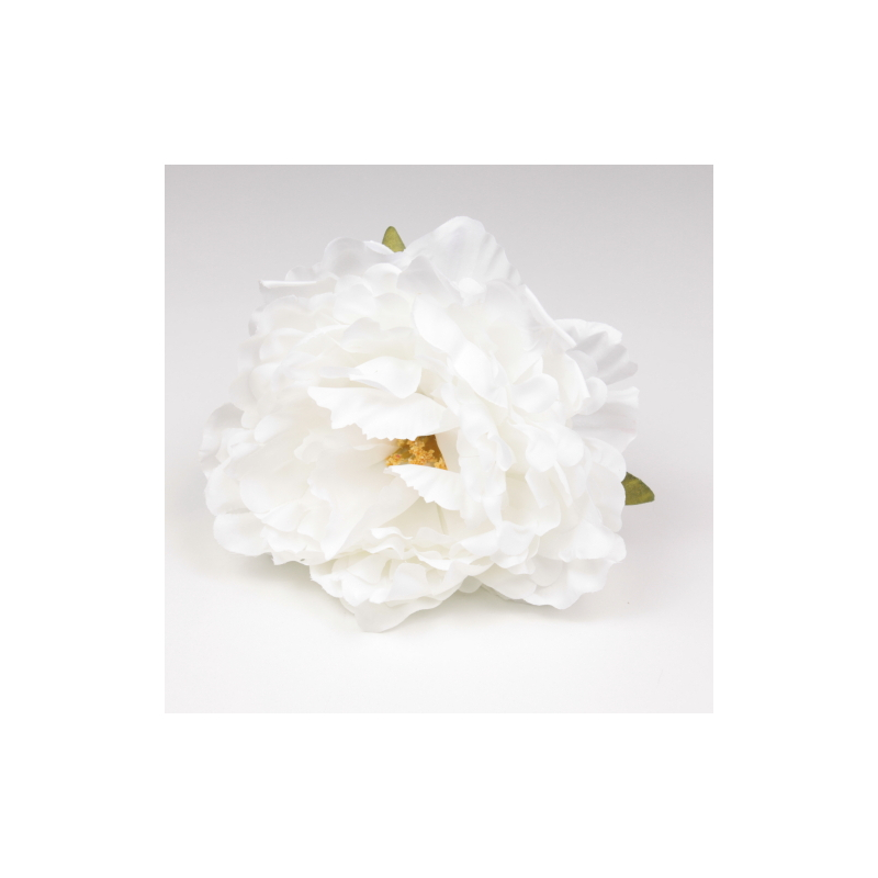PEONIA BLANCA JEREZ