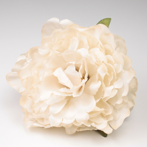 PEONIA MARFIL JEREZ
