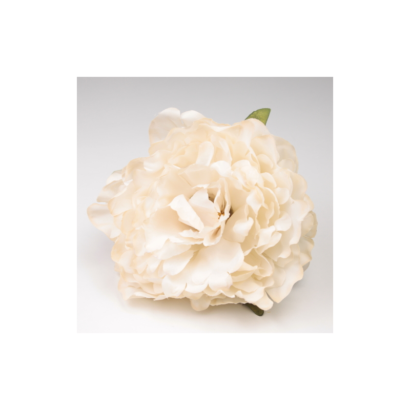 PEONIA MARFIL JEREZ