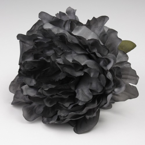 PEONIA NEGRA JEREZ