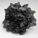 PEONIA NEGRA JEREZ