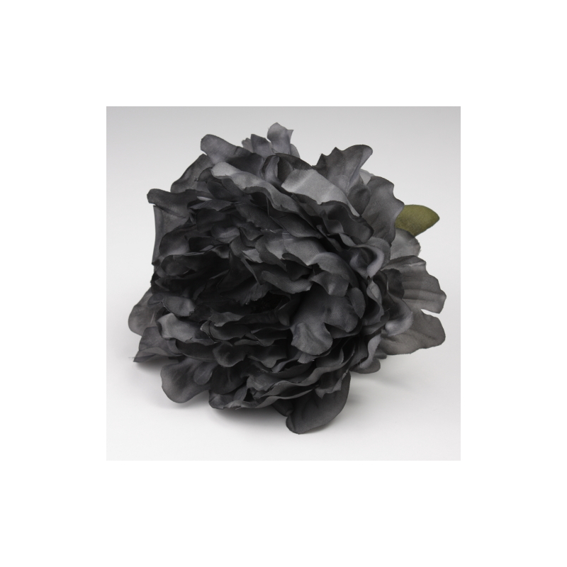 PEONIA NEGRA JEREZ