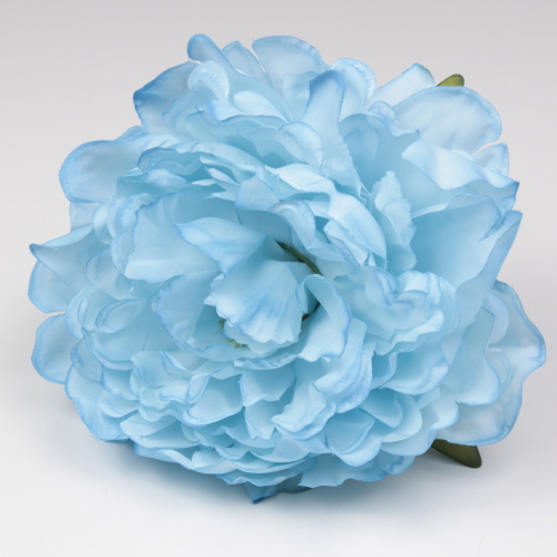 PEONIA CELESTE JEREZ