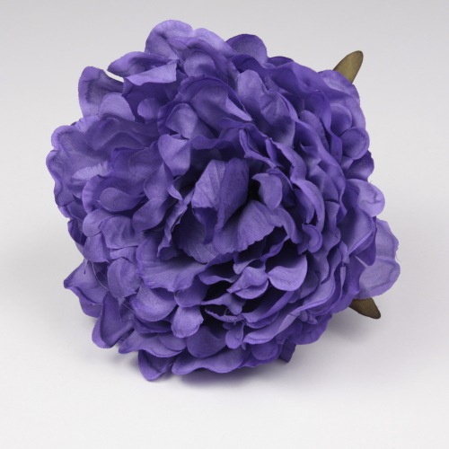 PEONIA MORADA JEREZ