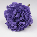 PEONIA MORADA JEREZ
