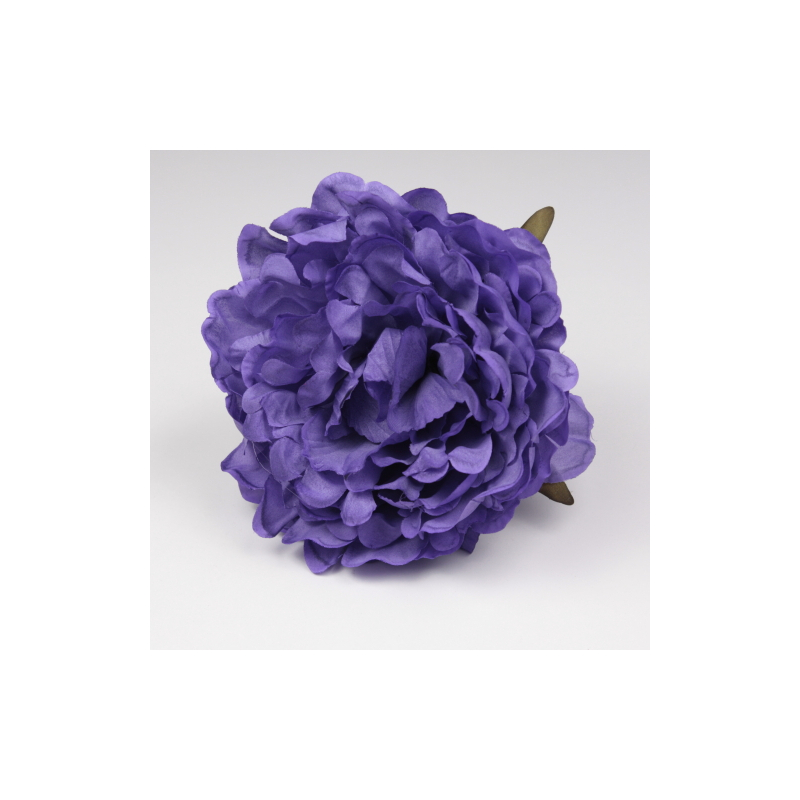 PEONIA MORADA JEREZ
