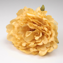PEONIA MOSTAZA JEREZ
