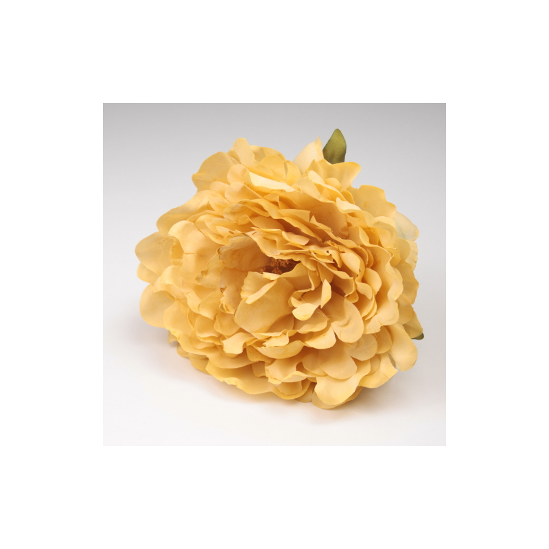 PEONIA MOSTAZA JEREZ