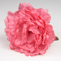 PEONIA CORAL JEREZ