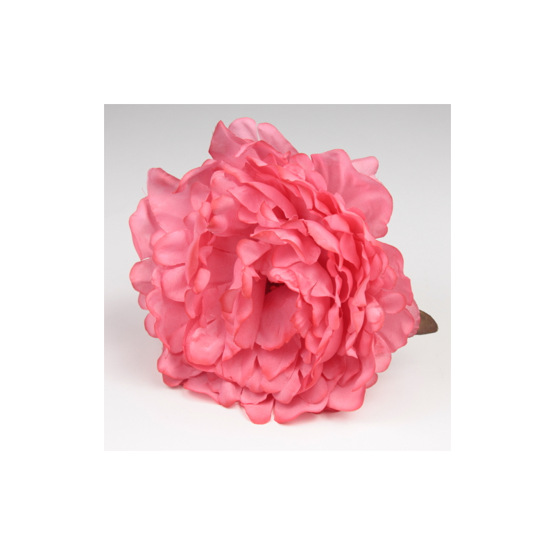 PEONIA MOSTAZA JEREZ