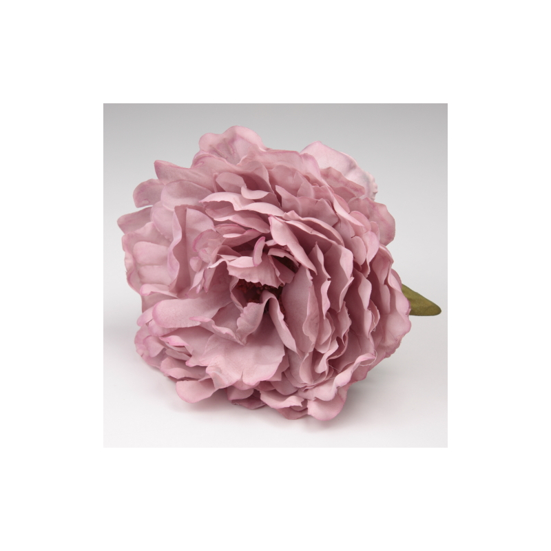 PEONIA ROSA PALO JEREZ